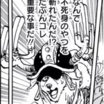 【ワンピース】覇気はすべてを凌駕する