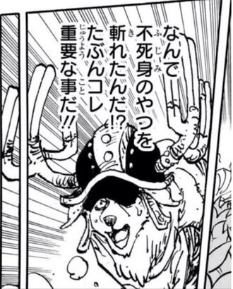 【ワンピース】覇気はすべてを凌駕する