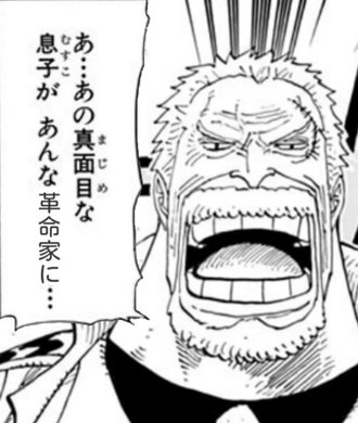 【ワンピース】ガープ「あの真面目な息子が革命家に…」