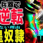 【ワンピース1172話感想】そこは地獄だった！なぜ殺さないのか？描かれていない存在！(予想妄想)