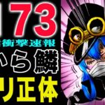 【ワンピース1173速報 】まさかのブルック！シュリ姫とは何者なのか？(予想妄想)