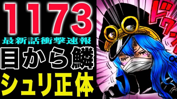 【ワンピース1173速報 】まさかのブルック！シュリ姫とは何者なのか？(予想妄想)