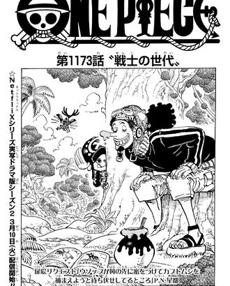 【ワンピース】1173話 感想…シュリ姫