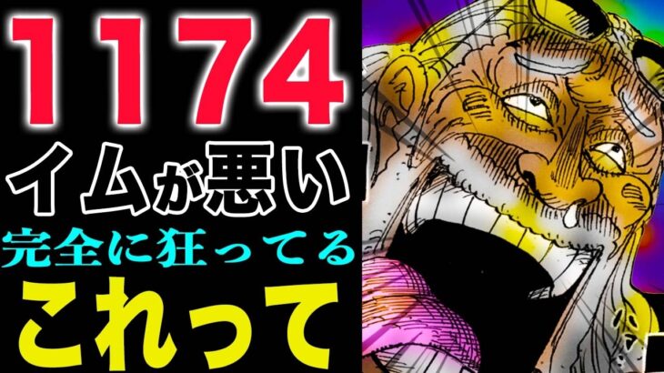 【ワンピース1174】御大のミス！ソマーズは特別なのか？キリンガムが怒った！(予想妄想)