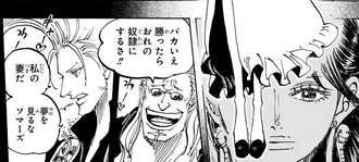 【ワンピース】ハンコックの飼い主マジでガーリングらしい