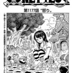 【ワンピース】1177話 感想…ヒトヒトの実