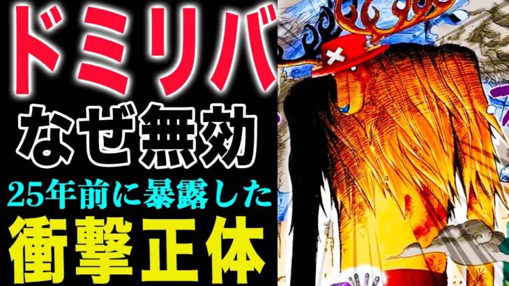 【ワンピース1178話感想 】ドミリバ無効！ヒトヒトの実の秘密とは？消えた書籍の謎！(予想妄想)