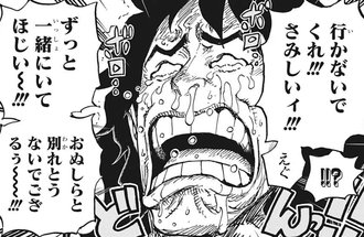 新世界編のワンピースで好きなシーンある？