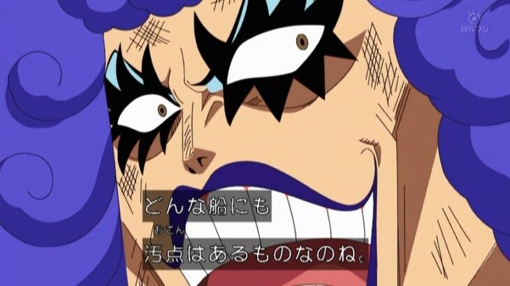【ワンピース】イワンコフ「どんな船にも汚点はあるものね」←麦わらの一味の汚点って何だと思う？