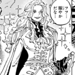 【ワンピース】王妃様天竜人じゃないか