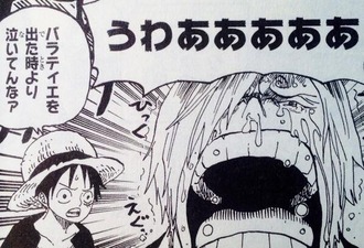 ルフィの冷静なツッコミ好き
