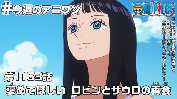 #今週のアニワン「褒めてほしい ロビンとサウロの再会」 ONE PIECE 1163話