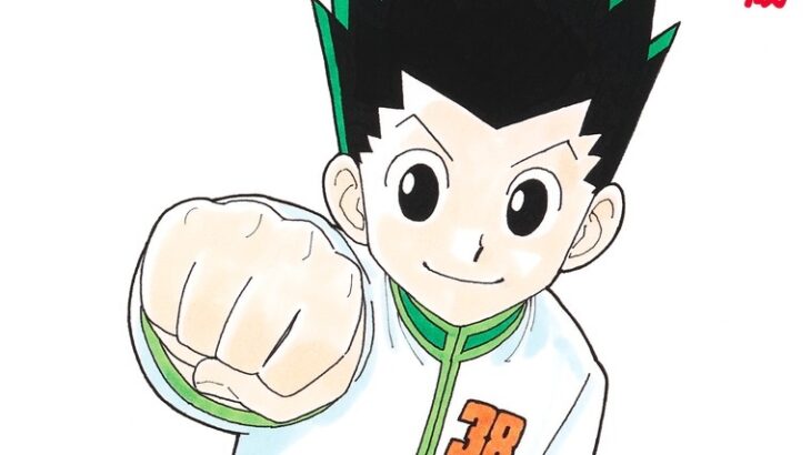 【悲報】「ハンターハンター」主人公、念能力を失ってから12年が経過してしまう･･･