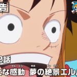 ONE PIECE 1162話予告「巨大な感動　夢の絶景エルバフ」