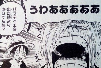 ルフィの冷静なツッコミ好き