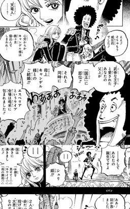 【ワンピース】シュリ姫の本当の父親って…