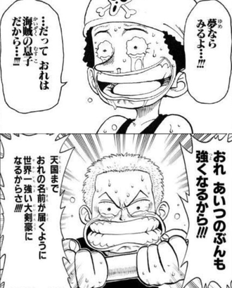 【ワンピース】相対的に過去が軽くなってしまう二人