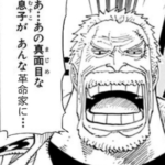 【ワンピース】息子が革命家に…