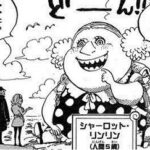 【ワンピース】その辺に捨てた強者