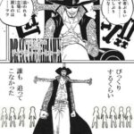 【ワンピース】ミホークとか相手にしたくねぇよ…