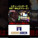 シティーハンターでGET WILDフリーズ！