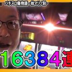 1/16384の確定役連発！降臨ノ儀で大爆発なるか!?シーサ。の回胴日記第１１０８話[by ARROWS-SCREEN]【パチスロ傷物語 ‐始マリノ刻‐】