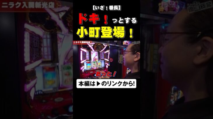 ドキッ！とする小町登場！！　#いざ番長　#shorts #シーサ。 #アロウズスクリーン