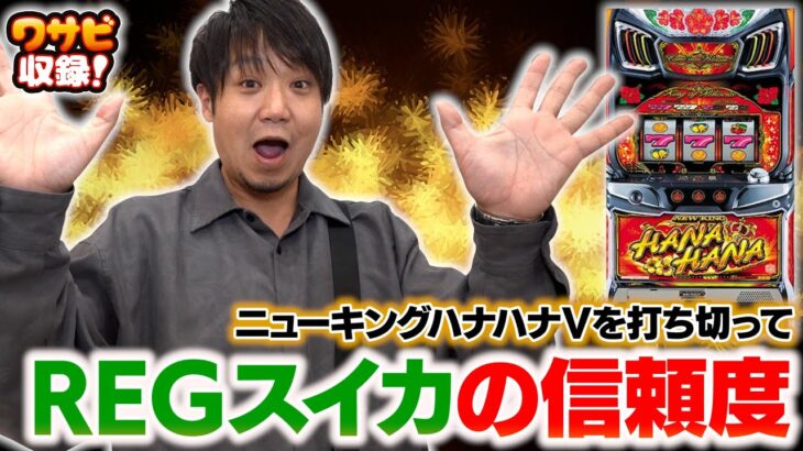 まさかの結果に！REGスイカの信頼度を調査！！【ワサビ収録 後半】【ニューキングハナハナV-30】