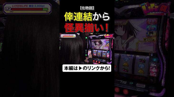 倖連結から怪異揃い！　#化物語　#いけぴのライフアット　#いけぴ　#池田清香　#shorts