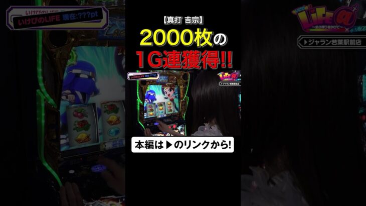 2000枚の1G連獲得！　#真打吉宗　#いけぴのライフアット　#いけぴ　#池田清香　#shorts