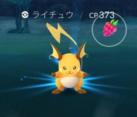 ポケモンGOのライチャウブスすぎて見るたびに笑ってる