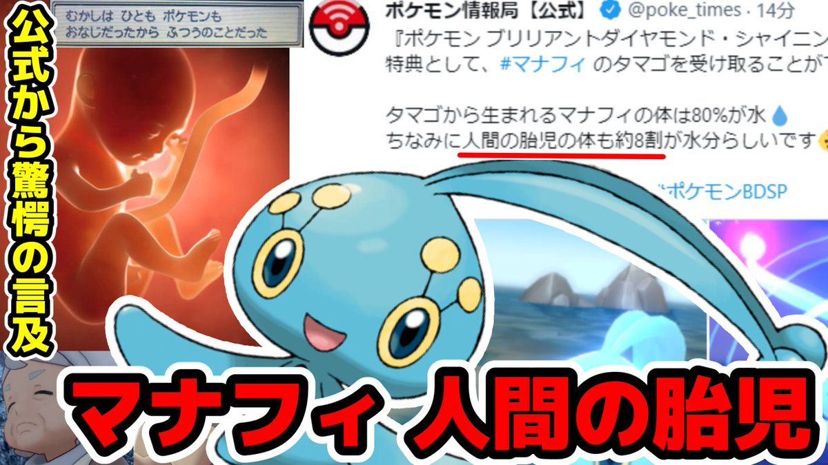 公式から驚愕の言及 ポケモンの マナフィ は人間の胎児だった 気ままに ポケモンの巣窟