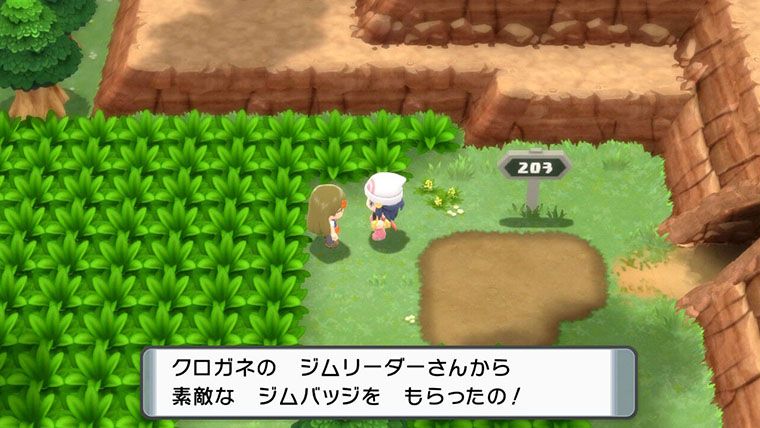 ポケモンbdsp 3番道路の ミニスカートのチカ ムックルlv5 がどうやってヒョウタからジムバッジを貰ったのか考えよう 気ままに ポケモン の巣窟