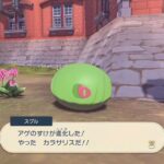 【ポケモンアルセウス】スグルにあけた色違いケムッソ、ちゃんと反映される　家の中にいるオヤブンポケモン怖すぎｗｗｗ