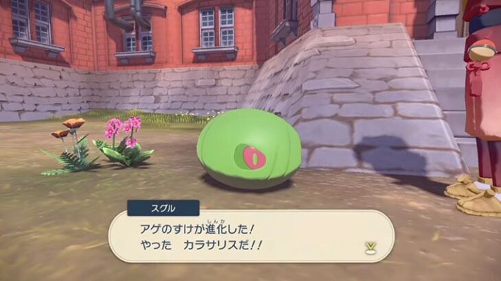 ポケモンアルセウス スグルにあけた色違いケムッソ ちゃんと反映される 家の中にいるオヤブンポケモン怖すぎｗｗｗ 気ままに ポケモンの巣窟