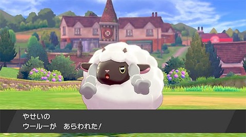 倒した野生のポケモンって死体野ざらしなの？？？？？？？