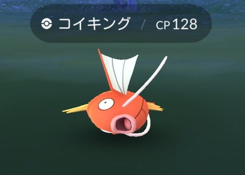 【ポケモンGO】ずっとおかしかった「コイキングの位置」無事元に戻る