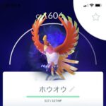 【ポケモンGO】「ホウオウAPEX」はリトレーンすべき？シャドウ運用すべき？