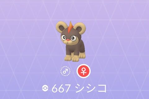 【ポケモンGO】進化させるの待った「シシコ」はリトルカップでモンメン＆ガラマキラー！