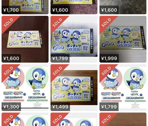 【悲報】転売ヤー、ポケセンで「ポッチャマ大好き！」と叫ぶと貰えるポッチャマを転売…大好きじゃなかったのか！？