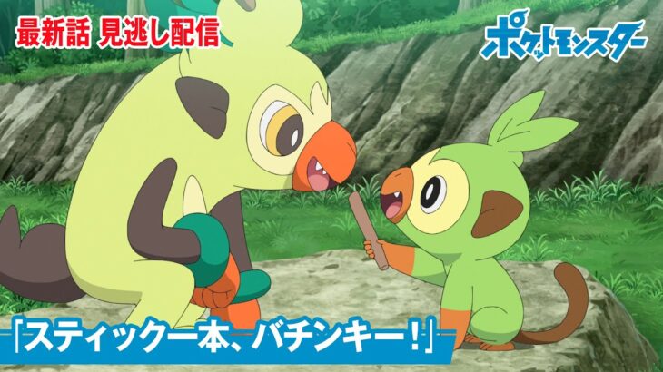 【公式】アニメ「ポケットモンスター」第101話「スティック一本、バチンキー！」（見逃し配信）