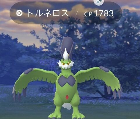 【ポケモンGO】「トルネロス(霊獣)アワー」反省会！「こいつアローラ関係無いだろ…」「18時前にピンクの卵湧かせるの止めろ！」