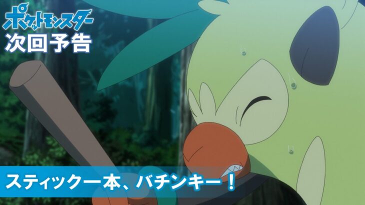 【公式】アニメ「ポケットモンスター」 3月11日（金）放送分予告「スティック一本、バチンキー！」