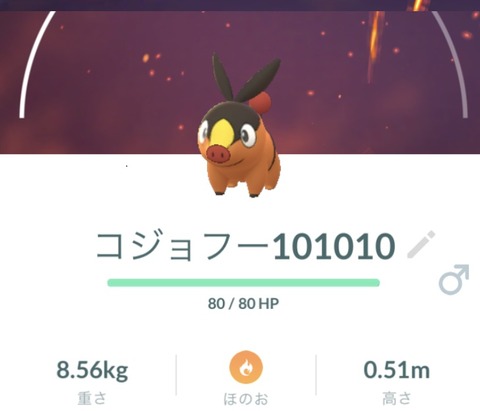 【ポケモンGO】コケコ、コジョフー、チョンチーのNGが緩和！手動で名前を付けれるようなったぞ！