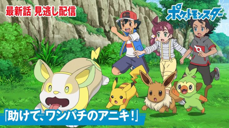 【公式】アニメ「ポケットモンスター」第107話「助けて、ワンパチのアニキ！」（見逃し配信）