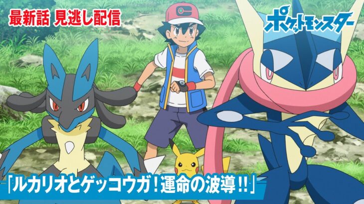 【公式】アニメ「ポケットモンスター」第108話「ルカリオとゲッコウガ！運命の波導！！」（見逃し配信）