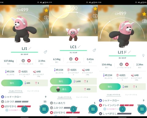 【ポケモンGO】「キテルグマ」どのリーグで活躍できる？