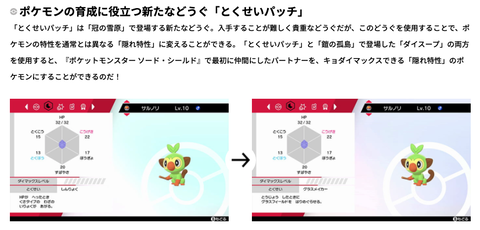 【ポケモン剣盾】便利になったらなったで更なる要求をしてしまう…罪な話やで