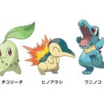 お前ら小学生の時ポケモンで「ワニノコ」「チコリータ」「ヒノアラシ」どれ選んだ？