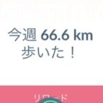 【ポケモンGO】ワイフェス2日目に20km歩き累計で50キロも歩いてしまう